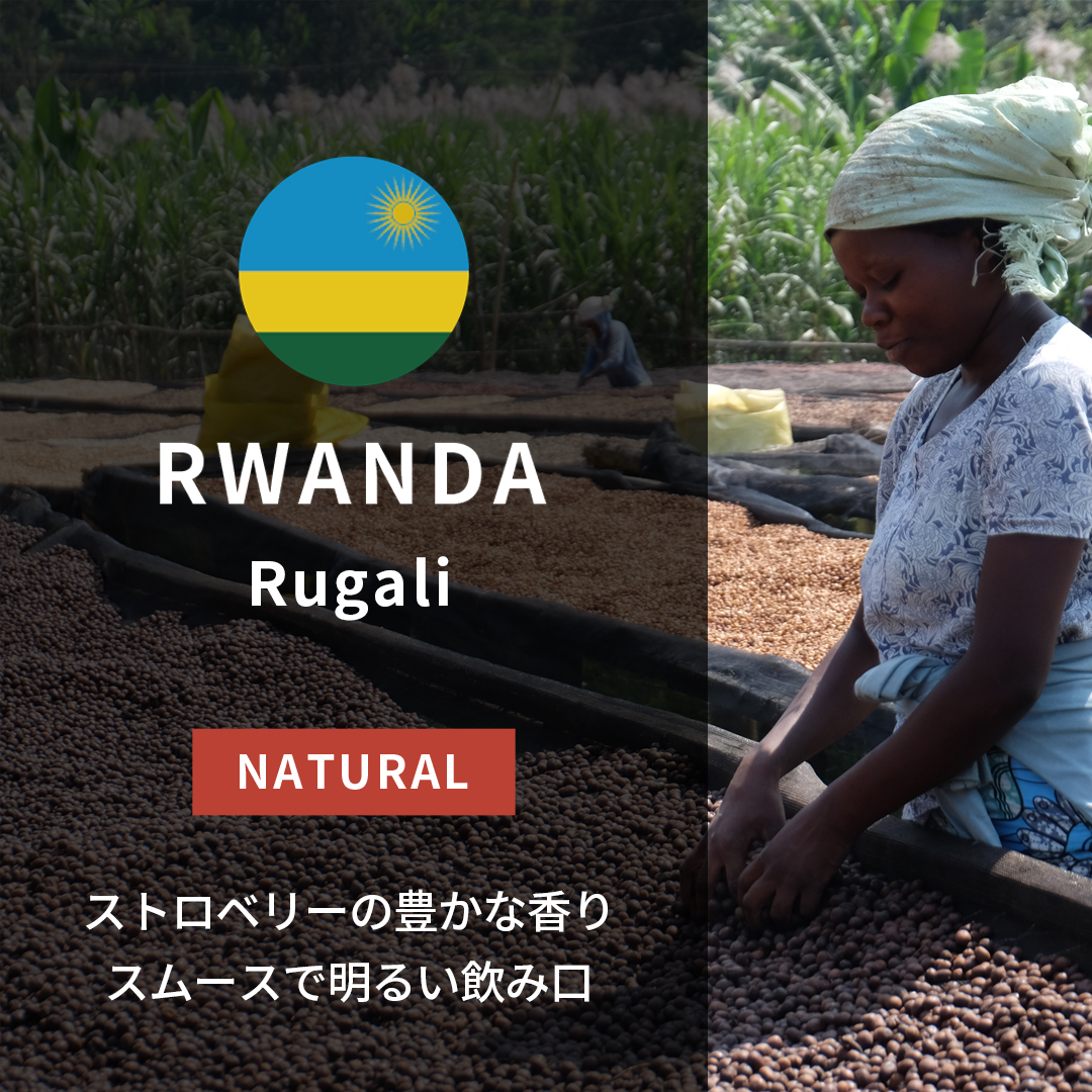 Rwanda Rugali Natural(24/25年クロップ) | ORIGIN COUNTRIES for